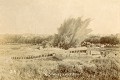 « 2ème Génie - Guerre de mines, Attaque et explosion souterraine - 600 Kg de poudre, 26 Août 1905 - Sainte Rose Polygone. » Tir de mine par le 2ème Régiment du Génie lors d’un exercice de guerre des mines en 1905. Génie 
 explosion 
 mines 
 souterrain 
 sapeur 