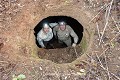 Les villageois qui nous accompagnaient avaient dégagé les abords du puits à la machette pour que nous puissions descendre dans les salles souterraines, mais nos guides étaient un peu inquiets à l’idée de nous laisser entrer dans ces cavités où se cachent souvent des serpents ; environs d’Abomey (Bénin), mars 2014. Afrique de l'Ouest 
 Bénin 
 coulisses 
 fortification 
 souterrain 
 souterrain-refuge 