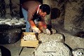 Cueille des champignons, culture en sacs, année 2000  (Touraine, France). carrière 
 champignon 
 champignonnière 
 cueille 
 culture en sacs 