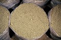 Après le gobetage, une couche de terre et de calcaire broyé se trouve à la surface du sac, elle recouvre le compost envahi de mycélium et va provoquer la fructification. champignon 
 champignonnière 
 culture en sacs 
 gobetage 